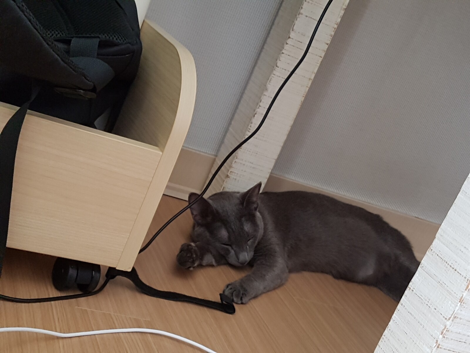 20190723_105802.jpg