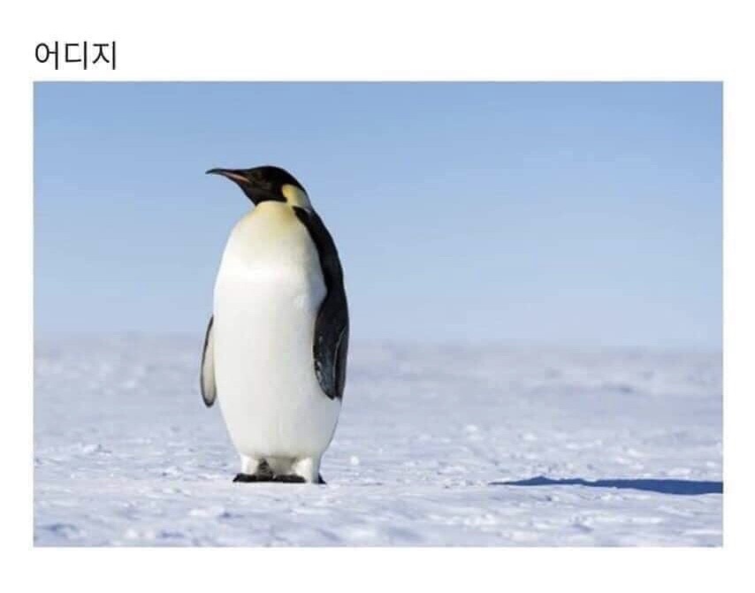 54275B44-88C1-4B89-B4E7-D1DCE41C4AF4.jpeg