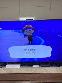 해마귀여움