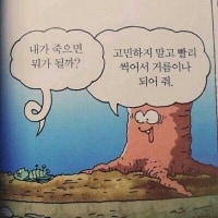 아이번이 2티어가 될 수 있었던 이유