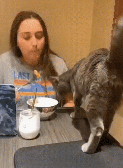 1587534180861.gif