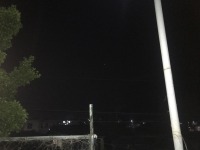 ㄹㅇ 처음 보는데 이거 뭐임?