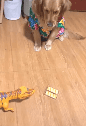 1587973686663.gif