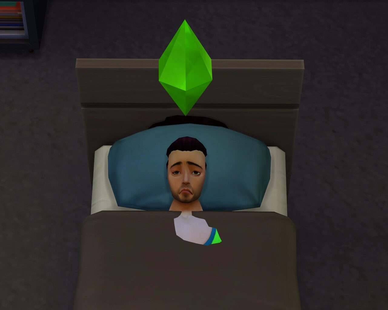 TS4_x64 2020-04-21 23-14-21.png