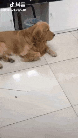1588150641273.gif