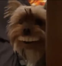 아니 이거ㅋㅋㅋㅋㅋㅋㅋ