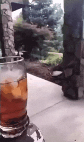 1588341428296.gif