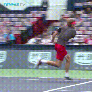 20190212_165239.gif