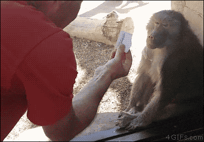 20190207_232329.gif