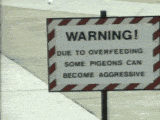 20190207_231923.gif