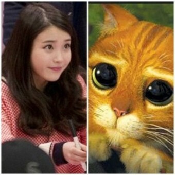downloadfile-17.jpg