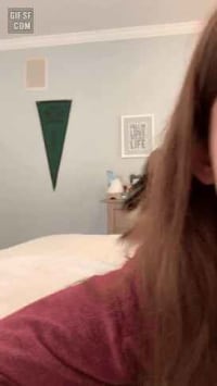 레드불 한모금한 토끼