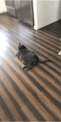 1589870693135.gif