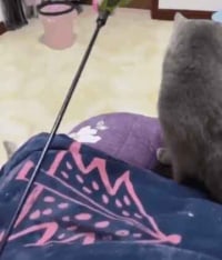 아무리 쳐 맞아도 장난감은 포기 못해!