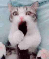 삑삑삑 여보세요