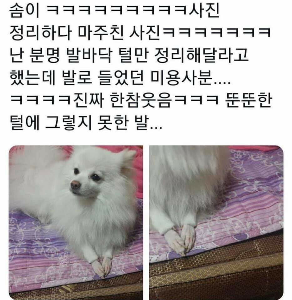 닭발.jpg