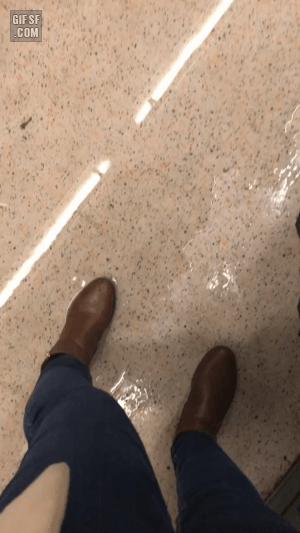 1590488835203.gif