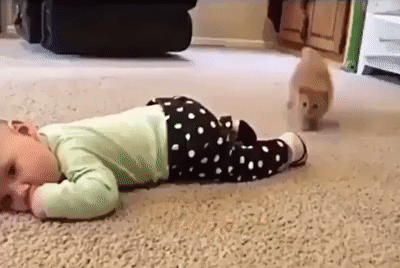 1588656145386.gif