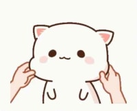 귀여운짤 보구가
