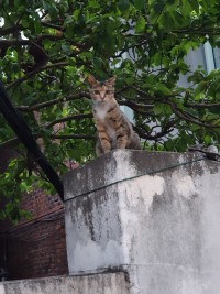 시선이 느껴진다. 누군가 날 감시하는것같아..