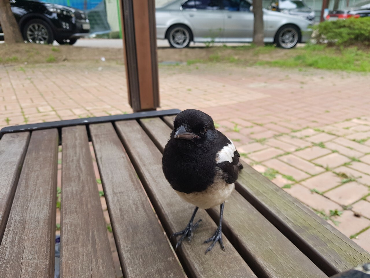 387982BD-D697-49E0-88BD-55A7235E472B.jpeg