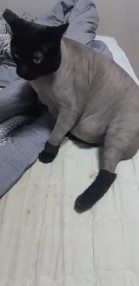 ???:주인님....이건 아니죠 -_-