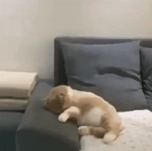 1591791216619.gif
