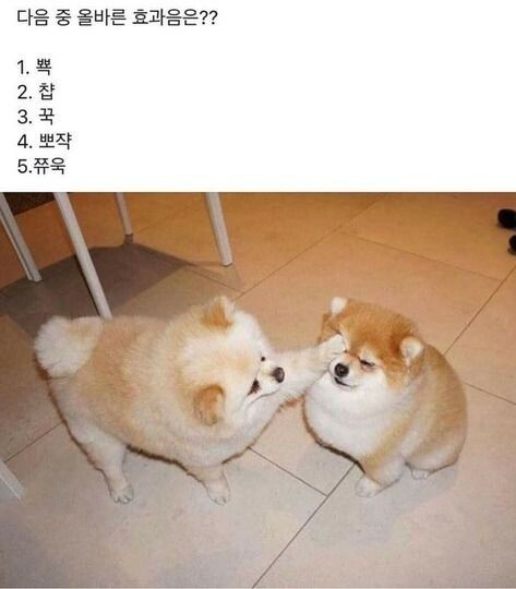 62c27e5b5b46876e4ade1a9cc56f90d6.jpg