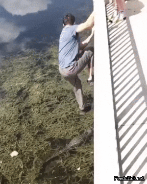 1591881780781.gif