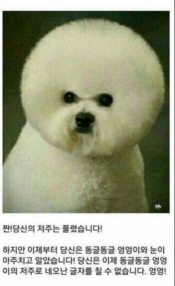 다운로드 \(3\).jpeg