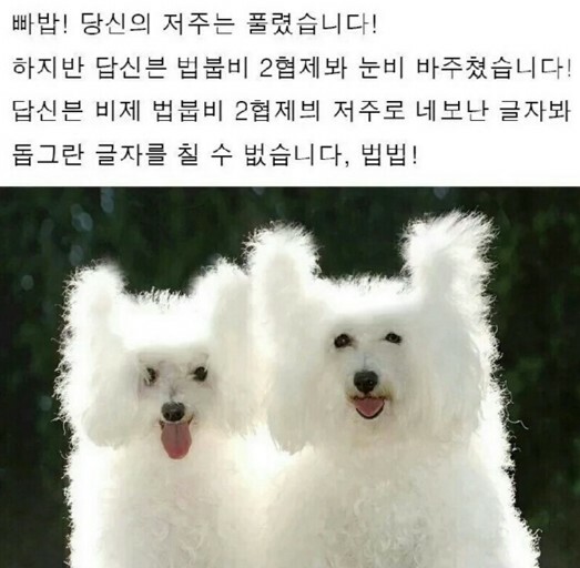 다운로드 \(1\).jpeg