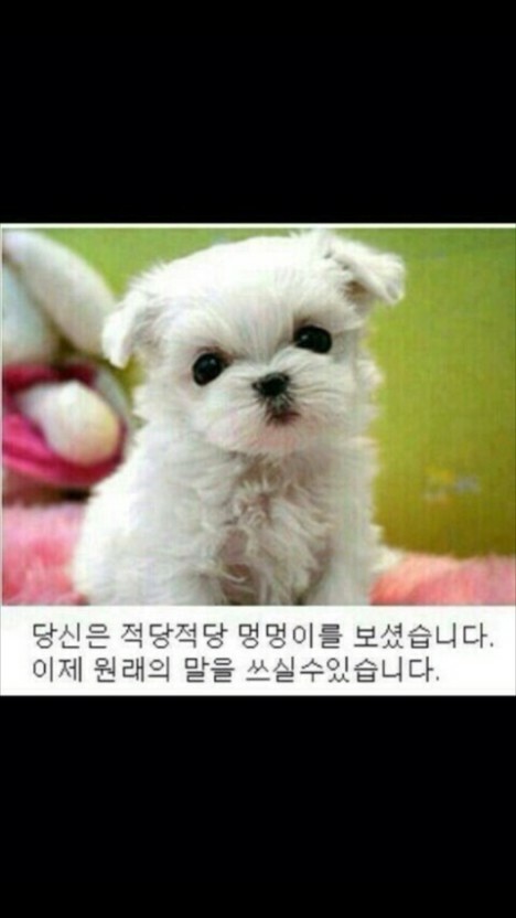 다운로드 \(4\).jpeg