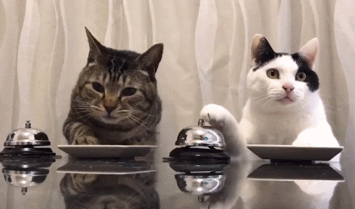 unnamed.gif