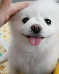 도파에게 패드립한애 있는데 어디다 보낼까요?