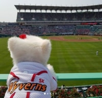 도파에게 패드립한애 어떻게 신고 할까요?