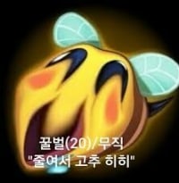 롤 유저 특