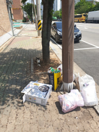 길가다 넘 불쌍한 길냥이봣다ㅜㅜ