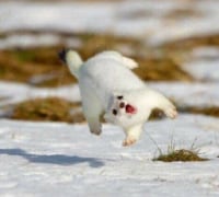 야! 니 밑에 벌래!
