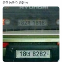 In a rush... until you meet someone in a bigger one (License Plate Edition