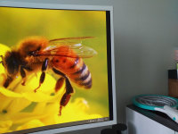 이거좀 도와줘요