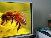 이거좀 도와줘요