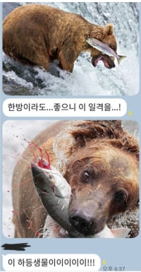 ??:제발...이 한방이...!!!