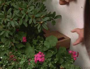 B8334AC9-EB1F-4238-99A9-DA8B4D795EF0.gif