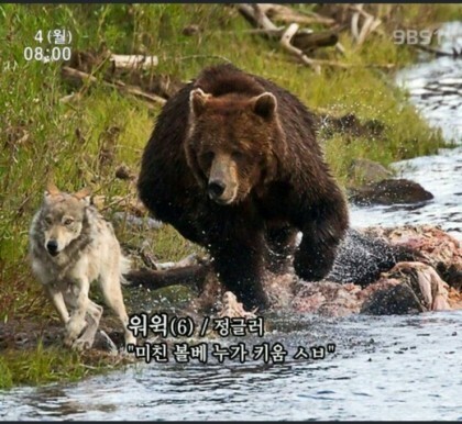 79C11CE2-4AC1-4CD5-A67E-07748263222D.jpeg