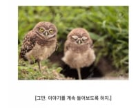 킷사마!!어르신께 무슨 무례한......?!