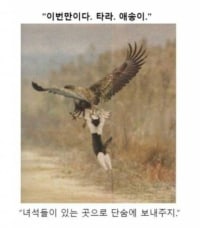 쳇...어쩔수 없지..이번만큼만은'동맹'이다