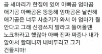 애기곰 사춘기