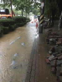 현실 생존겜 ㅋㅋㅋ