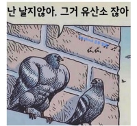 한 비둘기가 날지 않는 까닭 jpg.
