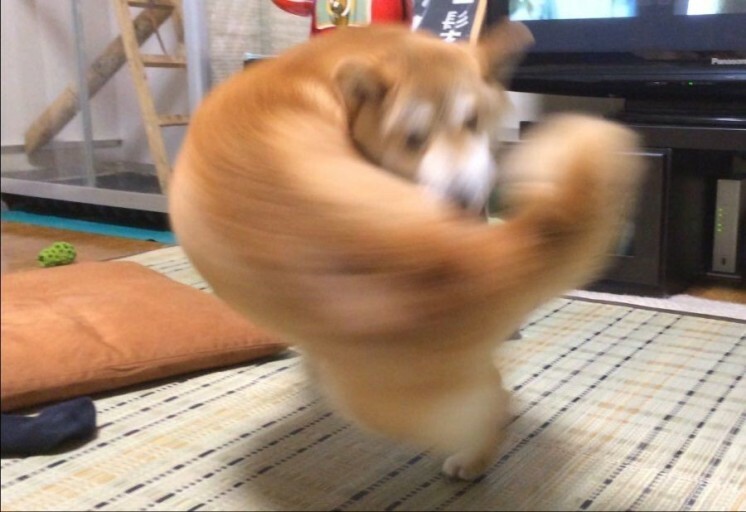 다운로드.jpeg-5.jpg